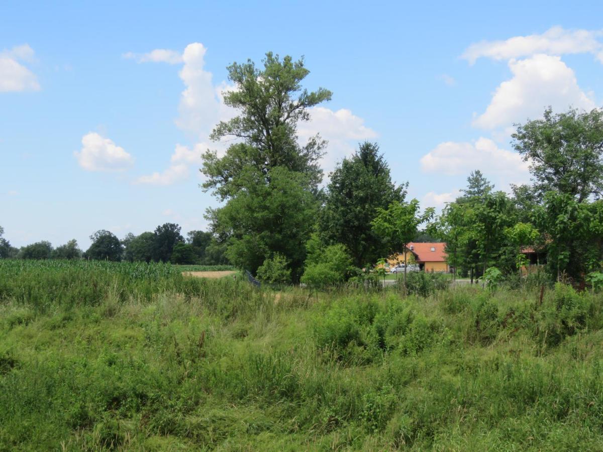 Mill House Apartment And Camping Ljutomer Bagian luar foto