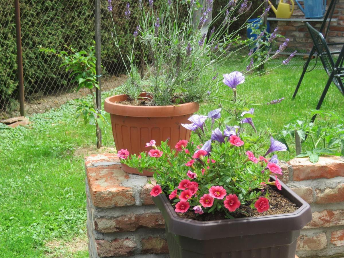 Mill House Apartment And Camping Ljutomer Bagian luar foto
