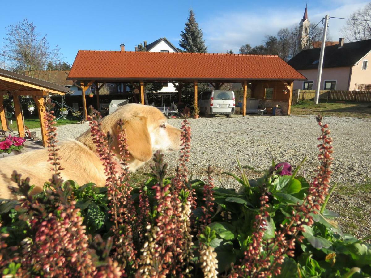 Mill House Apartment And Camping Ljutomer Bagian luar foto